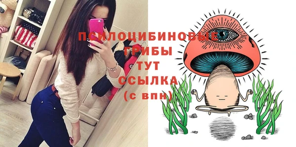 соль курить ск Заводоуковск