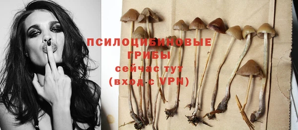стаф Балабаново