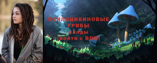 мдпв Заволжье