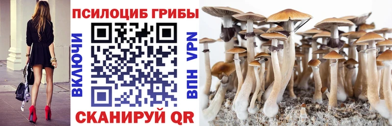 Псилоцибиновые грибы GOLDEN TEACHER  Жирновск 